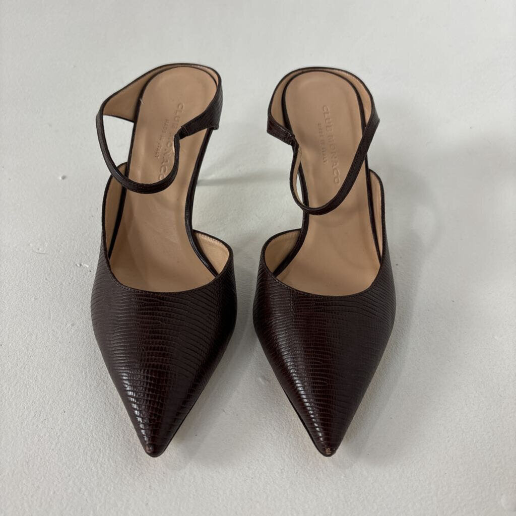 Snake Texture Pointed Toe Heel (9)