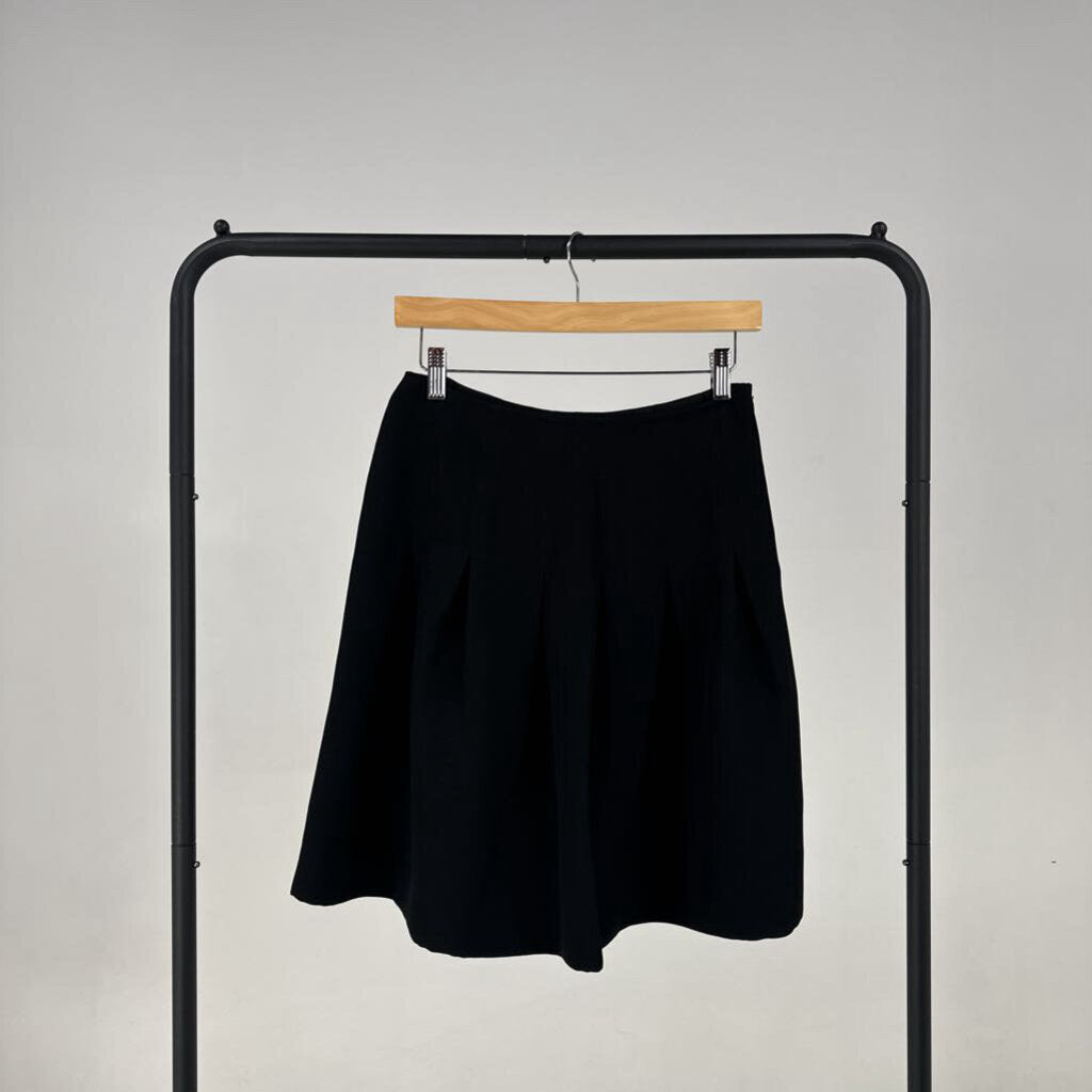 NWT! Mini Skirt (4)