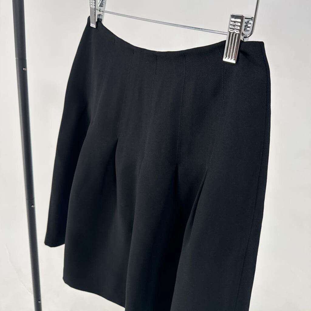 NWT! Mini Skirt (4)